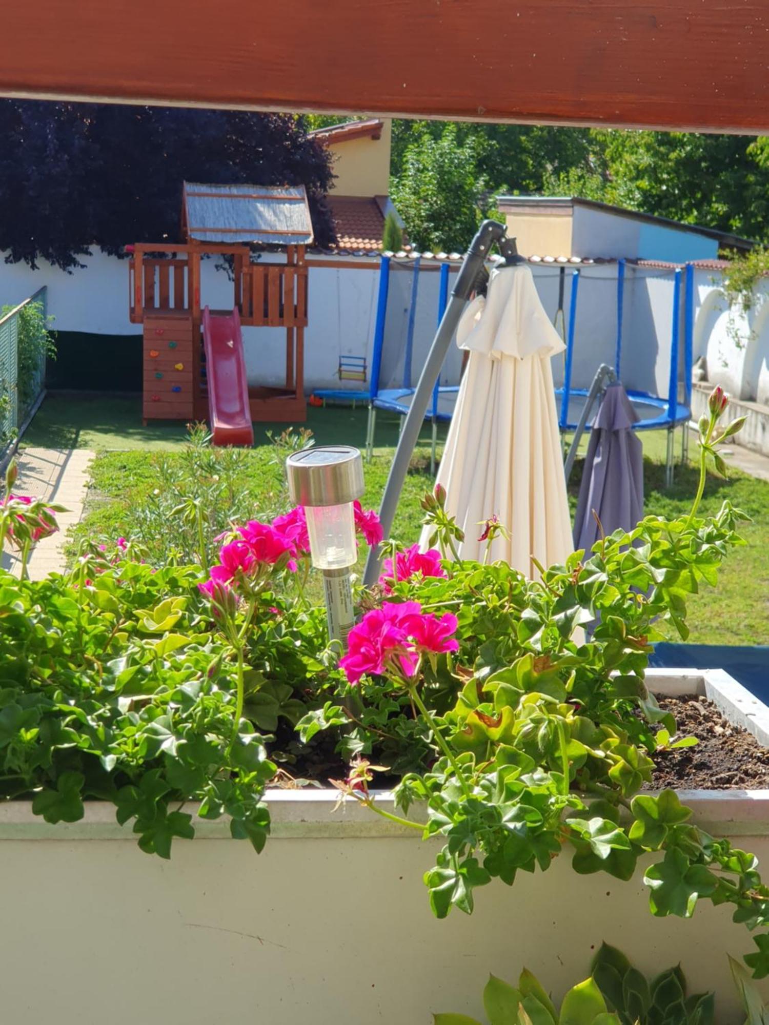 Bella Apartman سيغيد المظهر الخارجي الصورة